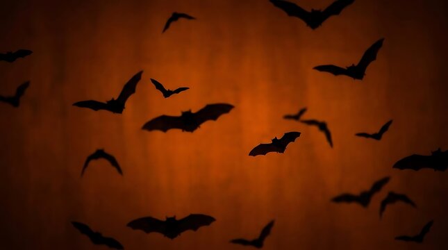 Silhouette bat swarm flying across orange textured background