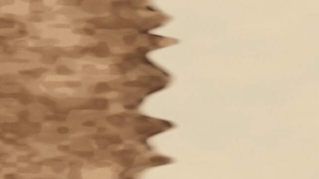 Sepia Watercolor Bloom Wicking Across Cotton Paper