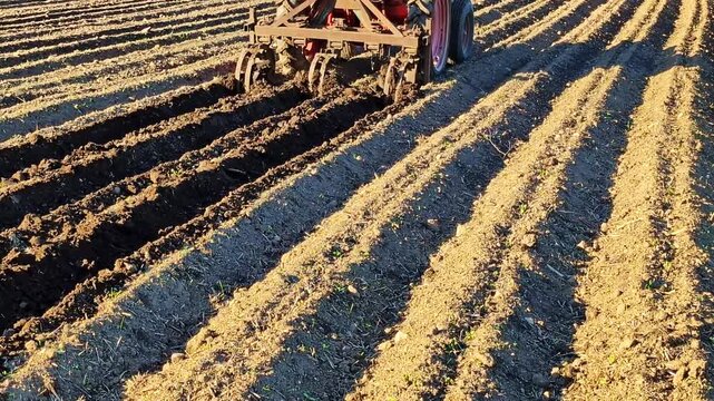 Red tractor with a cultivator working on a farm, preparing the land for planting crops