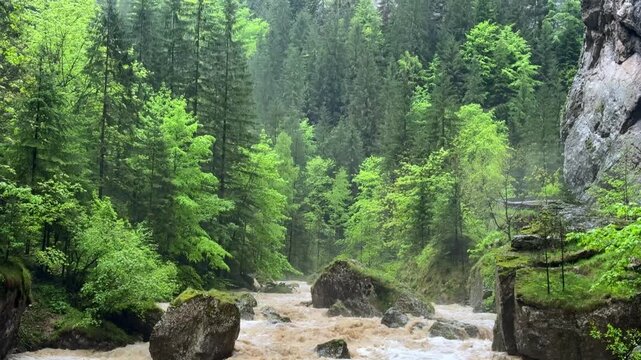 Heavy rains in the Carpathians: The Bicaz River overflows after torrential downpours. Large masses of water are flowing dangerously.