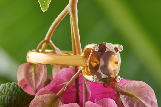Advertising and sale of jewelry. Yellow gold ring with diamonds and smoky topaz on pink flowers with green leaves. Side view. Close up.