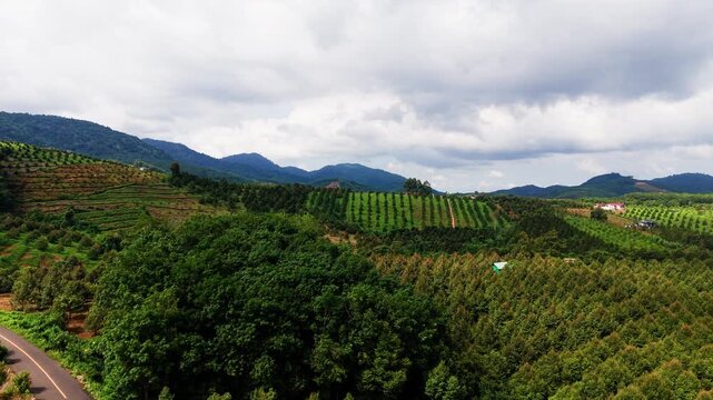 The landscape of Da Huoai 3 in Lam Dong, Vietnam. Green trees and hills fill the area under a cloudy sky. It captures the beauty of nature and the surroundings.