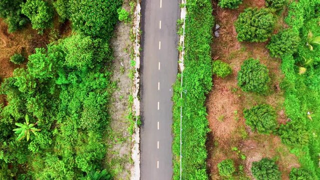 A journey along the roads of Da Huoai 3 shows the green landscape of Lam Dong. The camera captures the smooth road and the surrounding trees. A motorbike passes by and adds movement to the view.