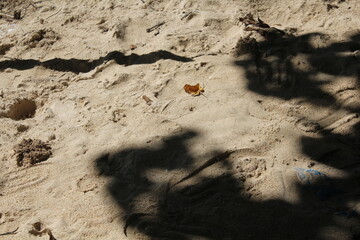 shadow in the sand © rahmad