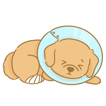 骨折してエリザベスカラーをつけられた犬の手描きイラスト
