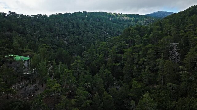 Aerial view of Mount Olympus in Cyprus. Dense pine forest, mountain slopes and peaceful natural scenery create a scenic Troodos landscape.