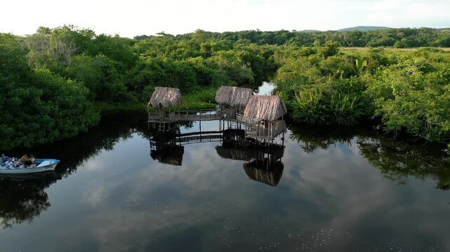 tomas a&eacute;reas del manglar La Tovara en San Blas, Nayarit. paseo en lancha entre canales y selva  durante el atardecer 
