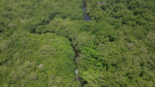 tomas a&eacute;reas del manglar La Tovara en San Blas, Nayarit. paseo en lancha entre canales y selva  durante el atardecer 