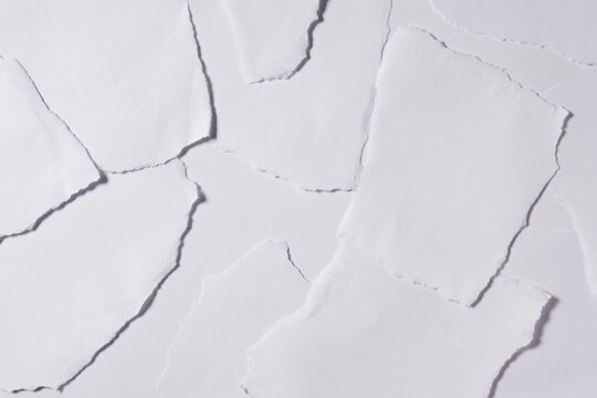 Layered white torn paper fragments forming a minimal textured backdrop.