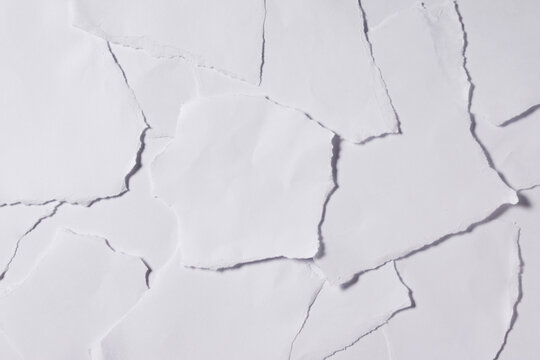 Layered white torn paper fragments forming a minimal textured backdrop.