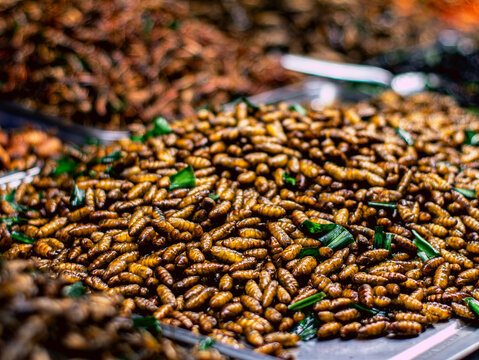 Assorted Fried Insects and Silkworm Pupae Trays Thai Street Food Market