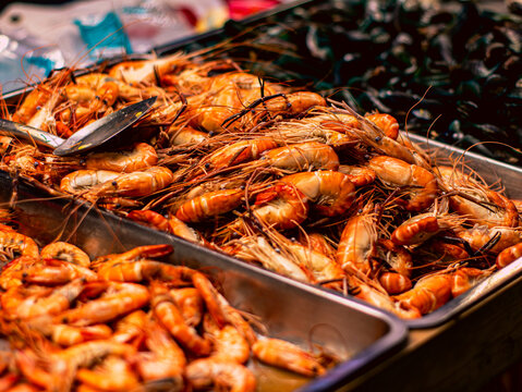 Fresh Whole Prawns Piled in Metal Tray at Seafood Market Stall