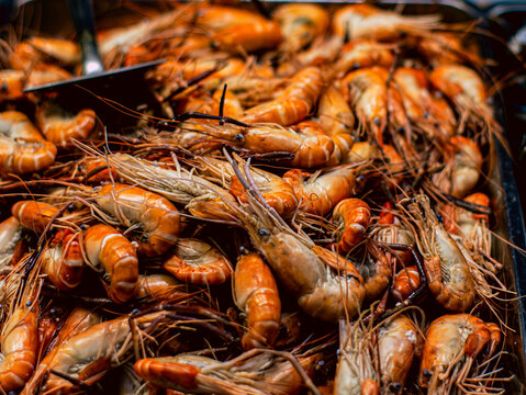 Close Up Detail of Fresh Whole Prawns with Long Antennae Seafood Market