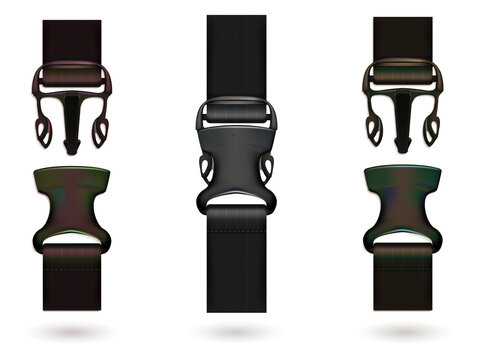 Buckles and straps for watch or bag on transparent background