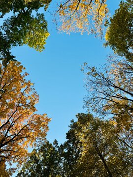 autumn in the park