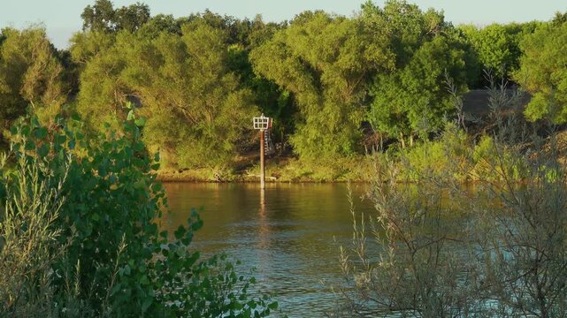 River navigation marker along the sunlit Sacramento River shore
