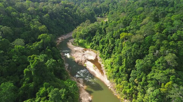 Drone flyover following Sungai Tembeling winding through primary tropical rainforest, Al-Sultan Abdullah Royal Tiger Reserve, Pahang, Malaysia, May 2026