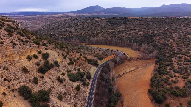 Winding road cutting through arid Spanish landscape in Aragon province, with rocky cliffs, sparse shrubs, bare trees, and distant mountains under overcast sky