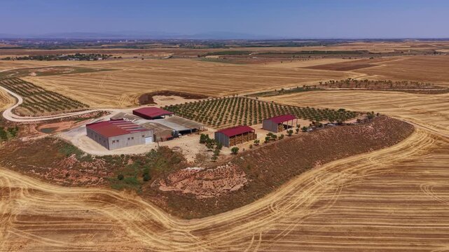 Overhead view of a Catalonian farm in Spain surrounded by dry golden wheat fields, farm buildings with red roofs, orchard rows and vast agricultural flatlands