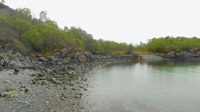 Rocky coastal shoreline with calm loch and spring woodland, Tarbert, Argyll.