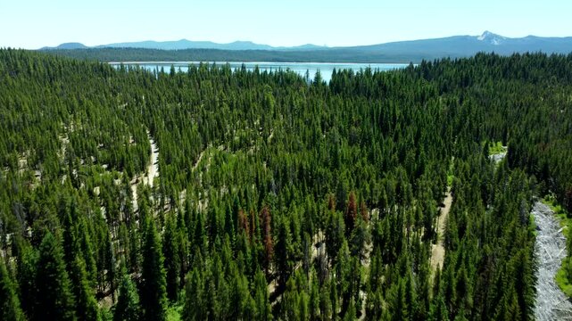 US, Oregon, Crescent Lake, 2026-07-09 - Drone view of the lake at sunset with Crescent Creek flowing out of it, in Summer