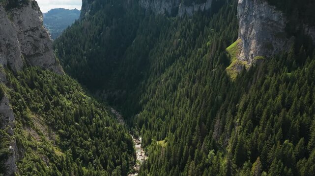 Aerial View of Zanoaga Gorge Forest