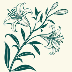 Fototapeta premium Elegant lily flower botanical illustration with botanical illustration minimalist isolated