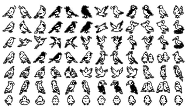 Hand Drawn Bird Doodle Mega Pack with Cute Black and White Cartoon Avian Vector Collection