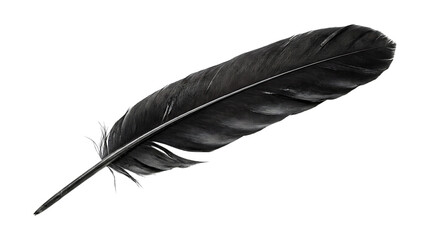Black feather isolated on transparent background © Photo Find