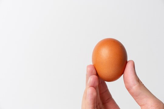 Chicken Egg Held in Hand