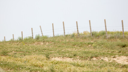 Obraz premium Grassy hill slopes gently under clear sky