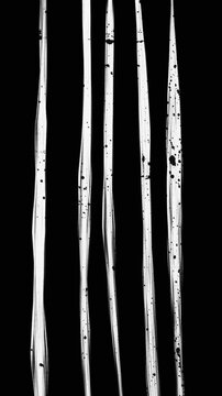 Animation of a black and white background with sloppy pencil vertical lines by hand and noise, abstract background with looping motion.