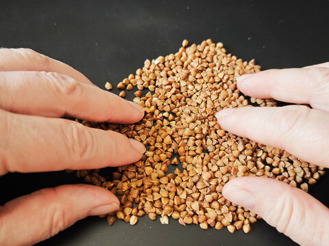 Hands touch buckwheat seeds on a table in a simple setting during daylight hours