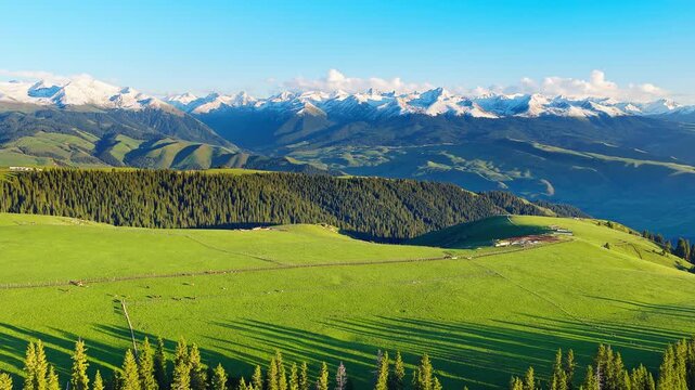 Aerial view of green mountain meadows and snow-capped peaks under a blue sky, Kalajun Grassland, Ili, Xinjiang, China
