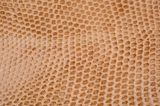 Brown reptile texture. Brown faux skin background