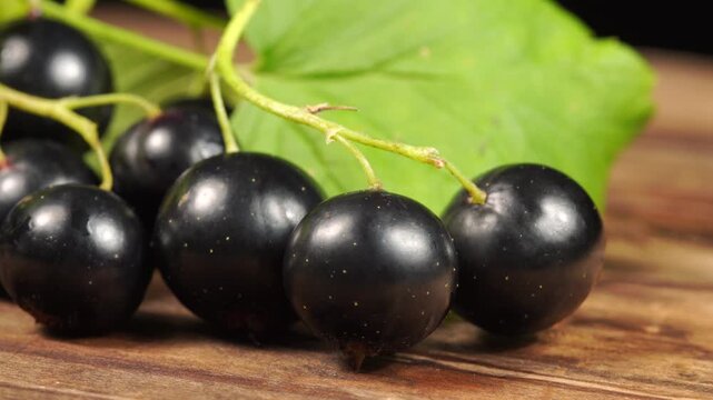 Macro tracking shot of ripe currants under studio lighting, close up.