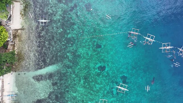 Aerial View of Whale Shark Watching in Oslob, Philippines