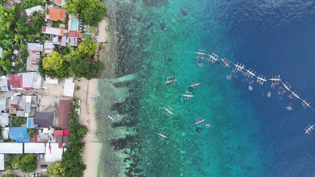 Aerial View of Whale Shark Watching in Oslob, Philippines