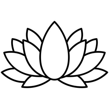 lotus flower illustration