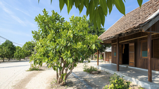 Traditional wooden house surrounded by lush greenery and sandy pathway, showcasing vernacular architecture and serene