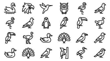Obraz premium Collection of various bird species line icons including waterfowl and exotic tropical birds with wildlife, hummingbird