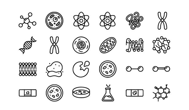 Biochemistry and Biology Line Icons Set (Molecule, DNA strand, Chromosome, Cell structure, Mitochondria, Laboratory Equipment)