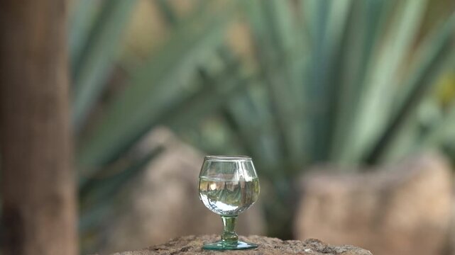 Traditional shot glass filled with artisanal mezcal surrounded by blue agave plants in the Mexican countryside. Rustic outdoor scene celebrating authentic Mexican spirits,