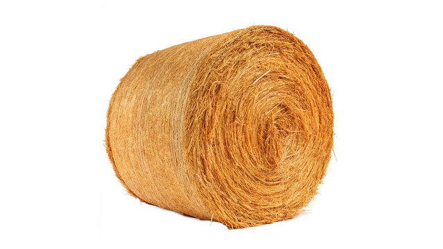 Large round bale of dry hay isolated on transparent background