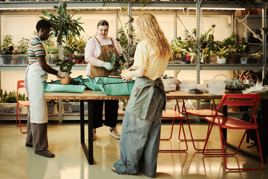Diverse young women working in plant nursery, potting houseplants at wooden table. Image represents small business operations and eco friendly retail marketing, wide shot