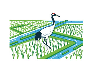 Obraz premium A majestic red crowned crane standing gracefully in a lush green rice paddy field.
