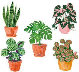 Watercolor Decorative Houseplant Collection for Modern Interior Decor © lozhy