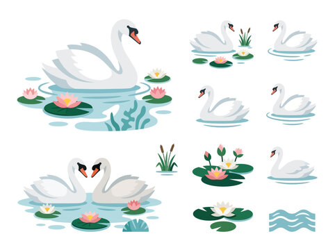 Collection of elegant white swans swimming in a pond with water lilies and reeds.