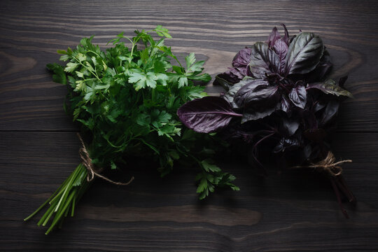 Fresh bunch parsley and purple basil on dark wooden table