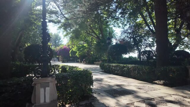 Sunlight breaking through tree canopy, Alameda Apodaca gardens, Cadiz, Spain